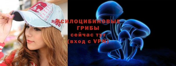 крисы Аркадак