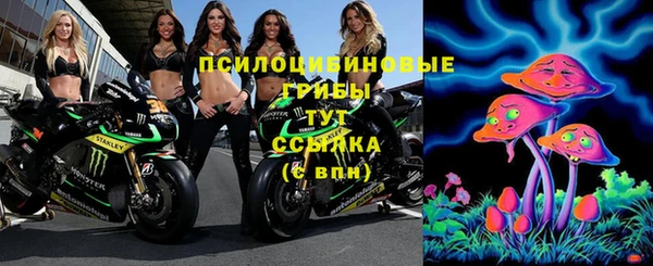 индика Армянск