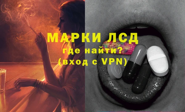 крисы Аркадак