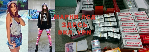 крисы Аркадак