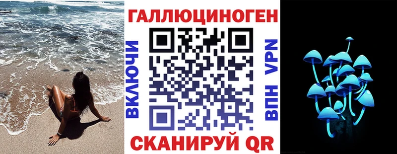 darknet наркотические препараты Унеча Псилоцибиновые грибы мицелий